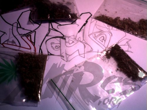 PLASTICO: AMSTERDAM SKETCH